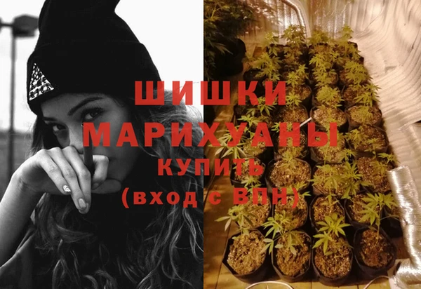 jwh Бородино